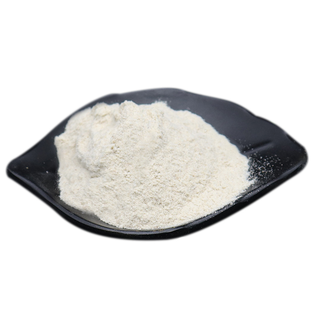 FARMASINO SUPPLY Factory Price Soluble Wheat Protein Food Grade Vital Wheat Gluten /Wheat Protein