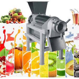 Small Juicer Make Pineapple Press Tomato Mango Extract Pulp Pulper Coconut Milk Fruit Juice Machine