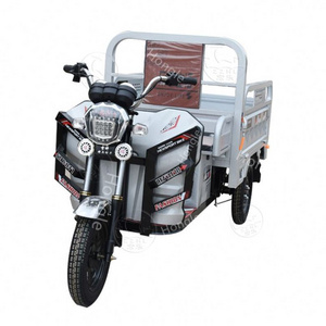 Multifunctional 800W Tricycles With Roof 3 Wheels Dirt Bike Adult Off-Road Motorcycles Baby Motorcycle Electric