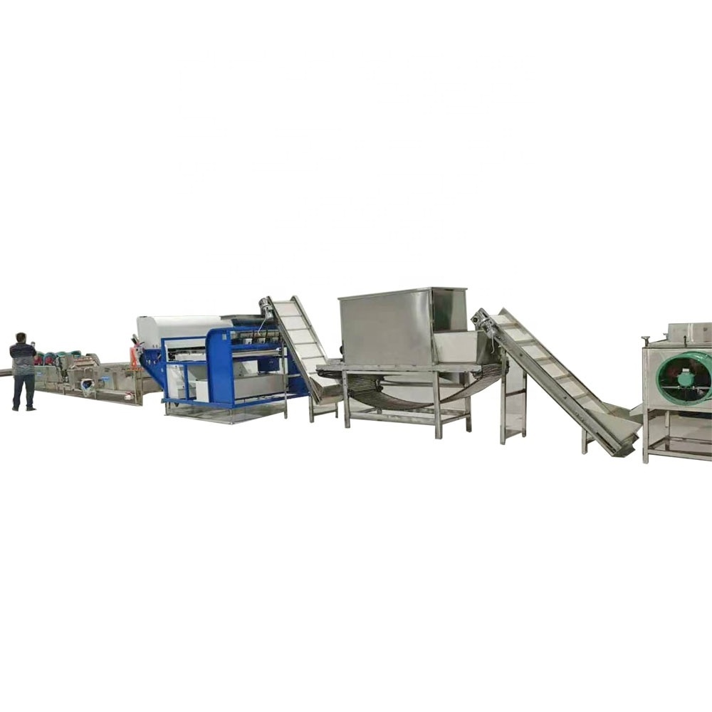 Garlic Peeling Machine Automatic Garlic Bulb Breaking Peeling Cleaning Packing Processing Machine Production Line