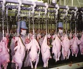 Overhead Conveyor For Chicken Slaughtering Line