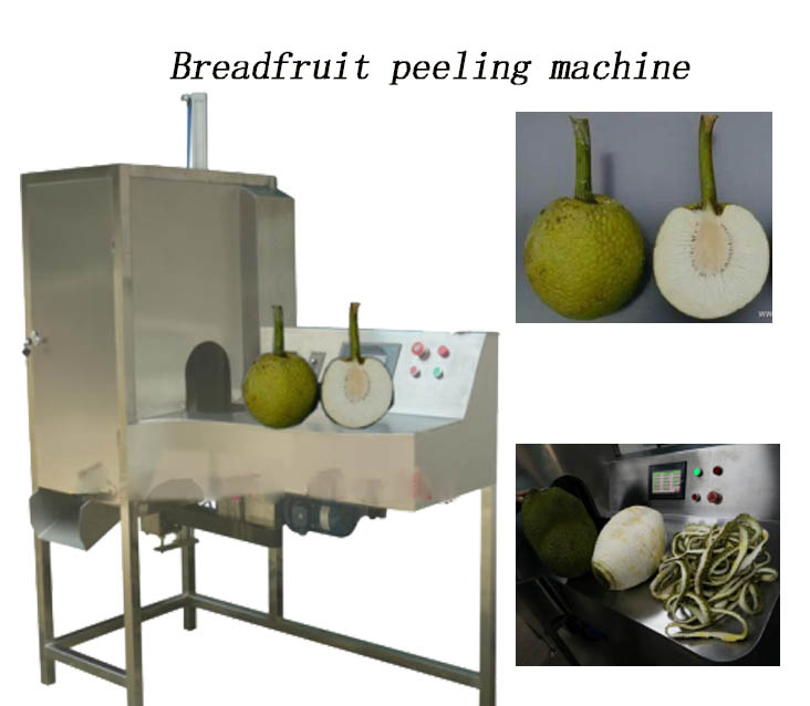 pineapple cutting machine pineapple peeler and corer slicer cutter stainless pineapple eye peeler