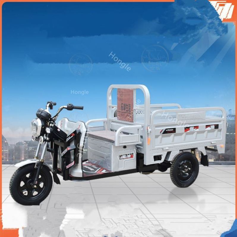 Multifunctional 800W Tricycles With Roof 3 Wheels Dirt Bike Adult Off-Road Motorcycles Baby Motorcycle Electric