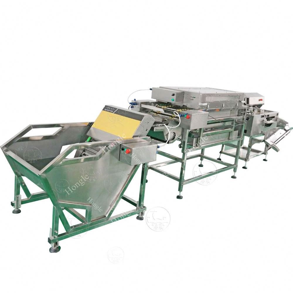 Professional Duck Chicken Eggs Washing And White Separator Machine Small Egg Salted Egg Yolk Powder Making Machine