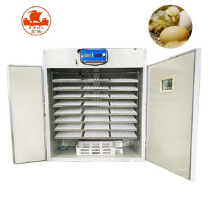 D55 Automatic 500 Chicken Eggs Incubator For Chicken Quail Bird Egg Hatch Solar Energy Egg Incubator