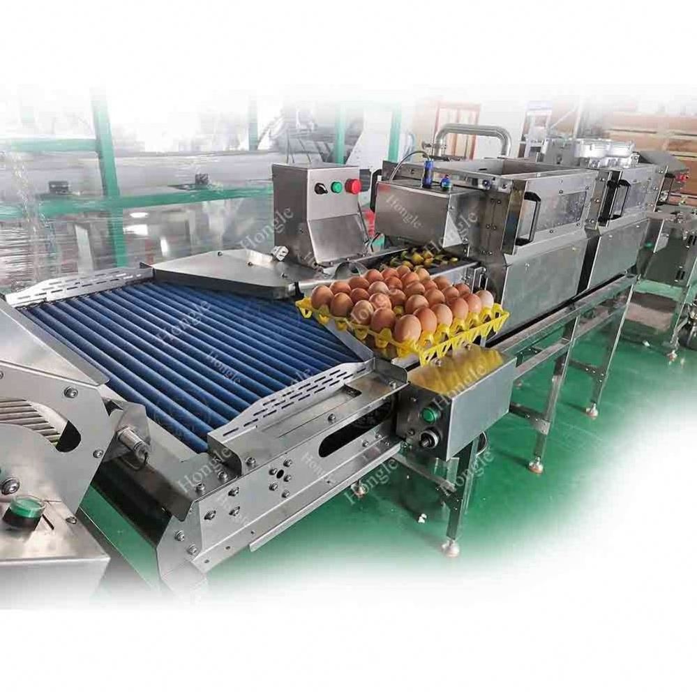 Manufacturer Egg Washer Sorter Machine Egg Washing Opening Sorting Grading Machine With Great Price