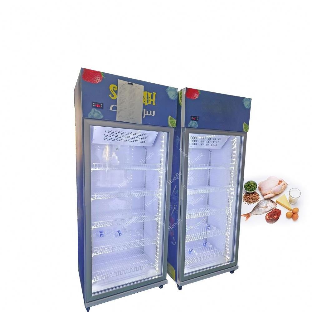 Two Door Refrigerators Home Fridge Freezer Vertical Refrigerator For Fish