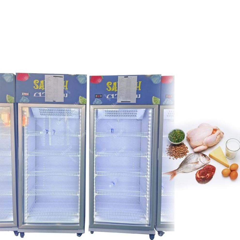 Frizer Pequeno Top-Freezer Refrigerators Refrigerator Meat Vertical Refrigerated Display Cases With External