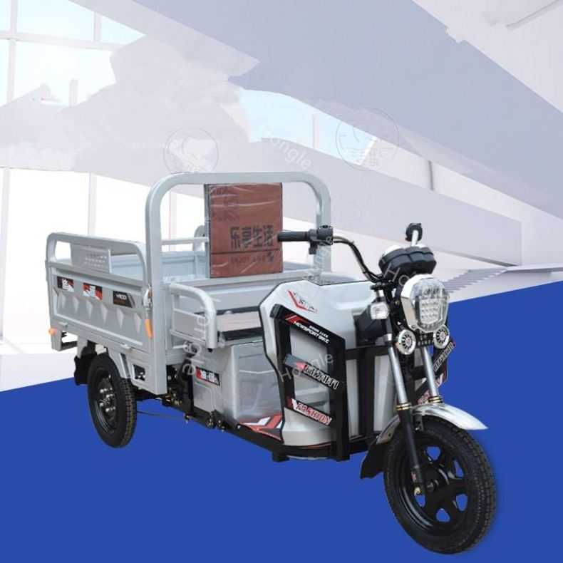 Multifunctional 800W Tricycles With Roof 3 Wheels Dirt Bike Adult Off-Road Motorcycles Baby Motorcycle Electric