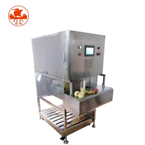 Kiwifruit Orange Peeling Machine Pineapple Mango Peeling Machine