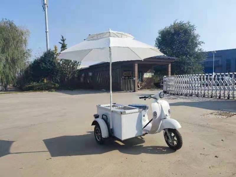 Refrigerated box Ice Cream Cooler scooter  Tricycle Cart with the freezer