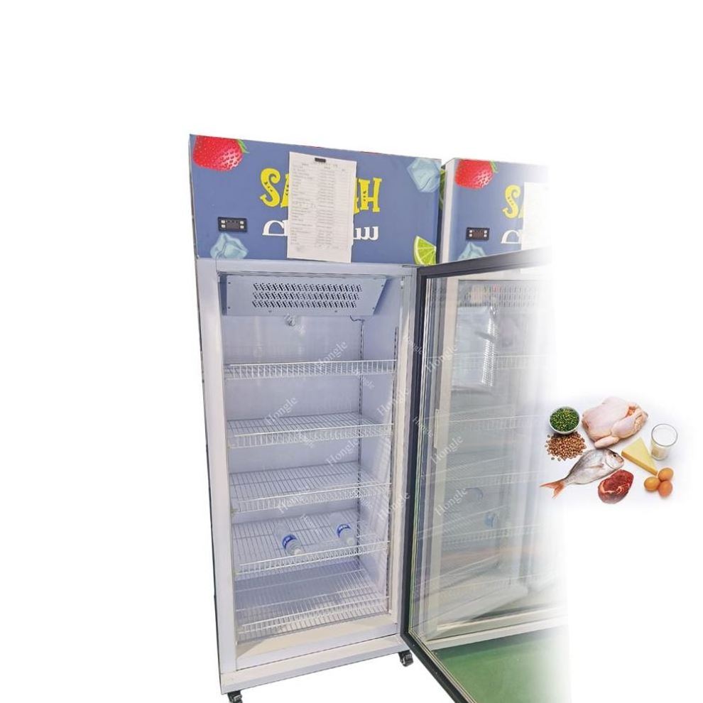 Two Door Refrigerators Home Fridge Freezer Vertical Refrigerator For Fish