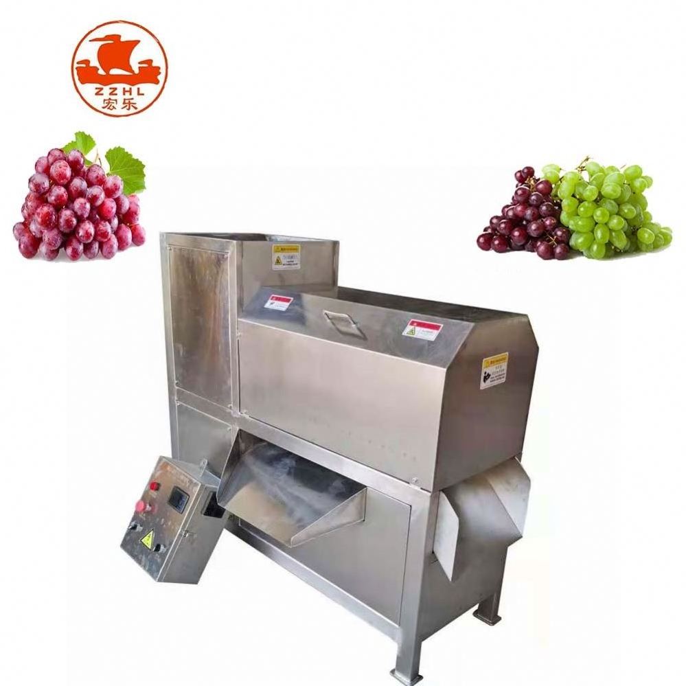 Brand New Grape Seeds Separator Machine Grape Deseeder And Peeler Machine Grape Seed Cleaning Machine With High Quality