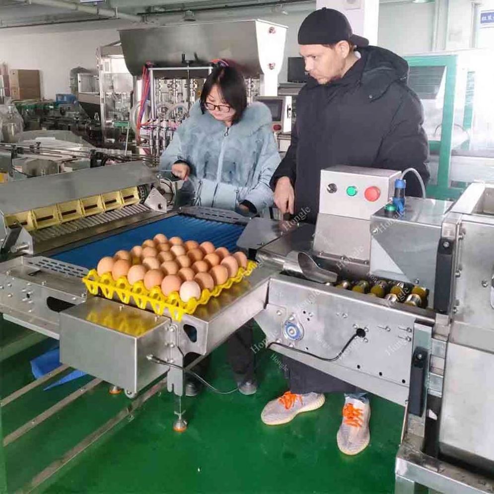 Professional Duck Chicken Eggs Washing And White Separator Machine Small Egg Salted Egg Yolk Powder Making Machine