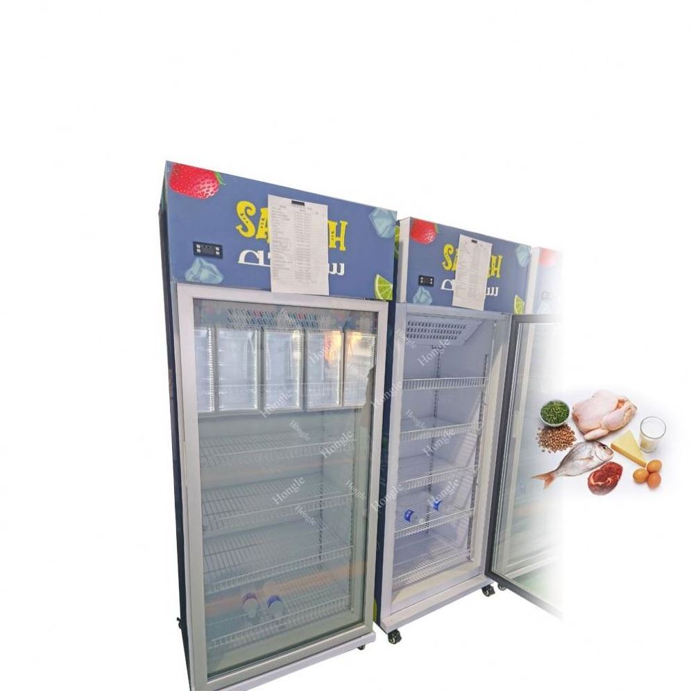 Side-By-Side Compact Refrigerators Hanging Meat Display Cabinet Freezer Vertical Free