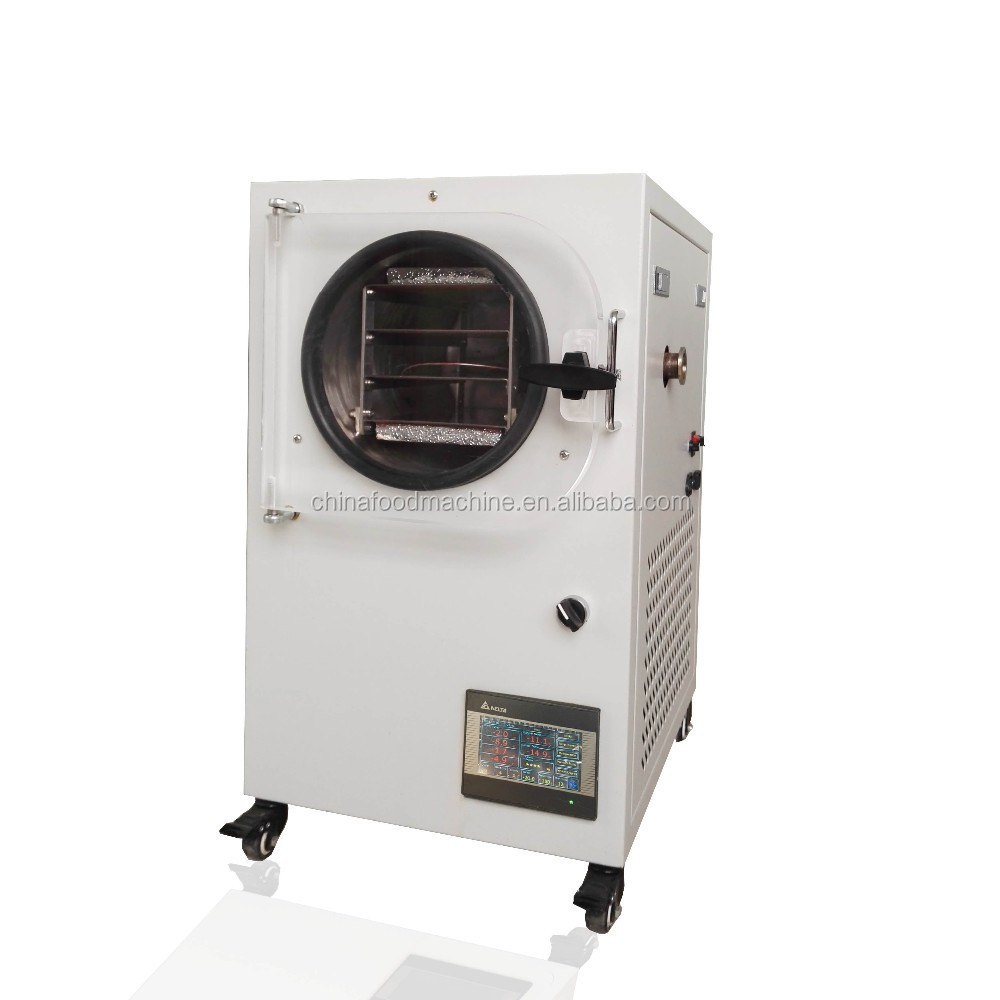 mini vacuum laboratory freeze dryer for home /lab