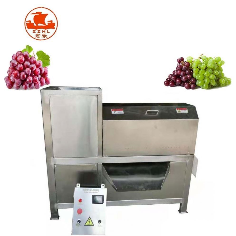 Brand New Grape Seeds Separator Machine Grape Deseeder And Peeler Machine Grape Seed Cleaning Machine With High Quality