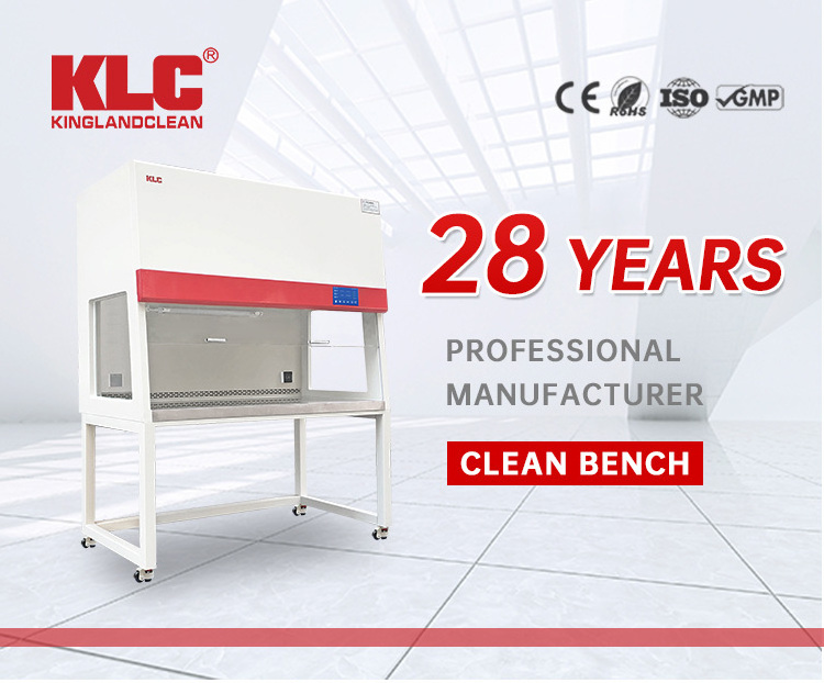 Hot Sale New Design Customized  Vertical Flow Clean Bench With Lifting Door  Clean Bench For Lab