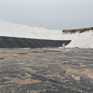 Smooth Surface Pond Liner HDPE Geomembrane for Farm