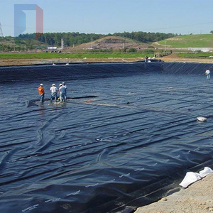 Fish Farming Liner HDPE  Water Reservoir 1mm Geomembrane /Pond Liner for Fish Pond Lining