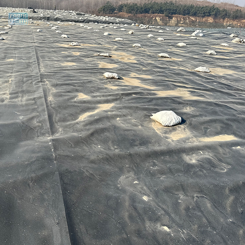 500 microns Blue HDPE Geomembrane for Fish Farm Pond Liner