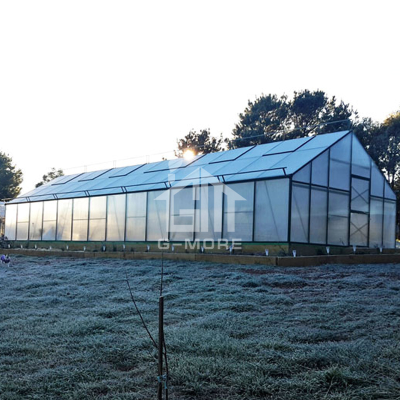 Single Span Aluminum Frame PC Greenhouse House for Sale