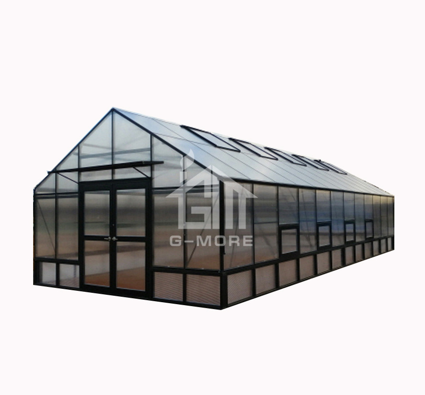 Single Span Aluminum Frame PC Greenhouse House for Sale