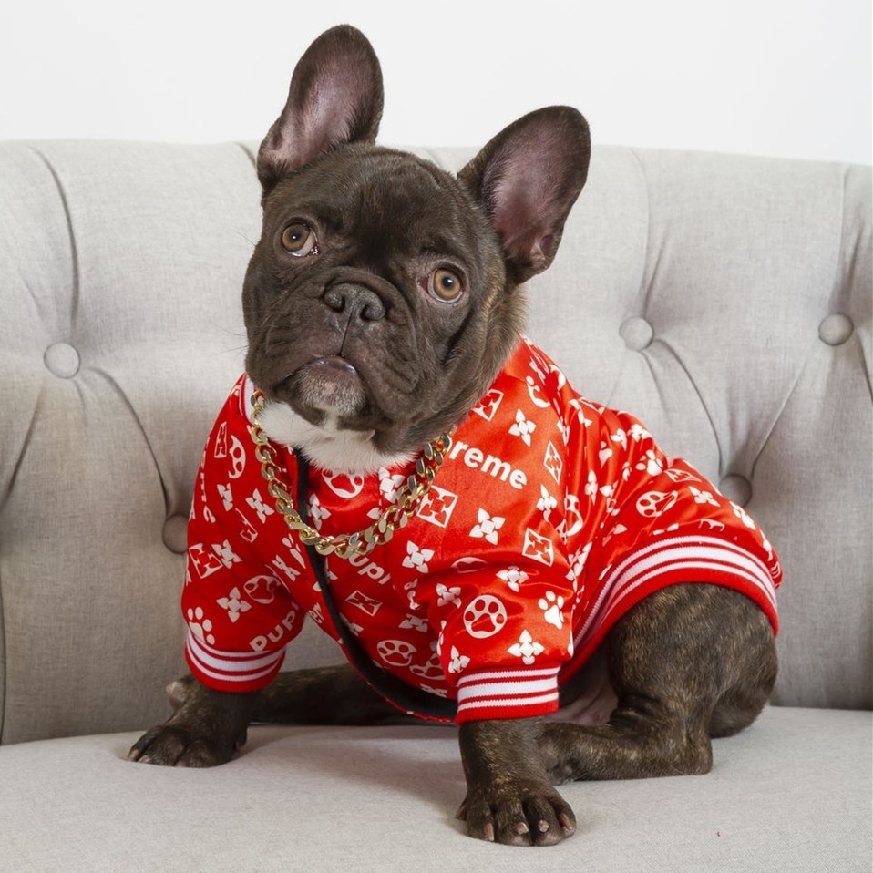 GMTPET New Product Designer Dog Coat Pupreme Dog Jacket Dog Clothes French Bulldog Fashion Winter Red Pet Apparel & Accessories