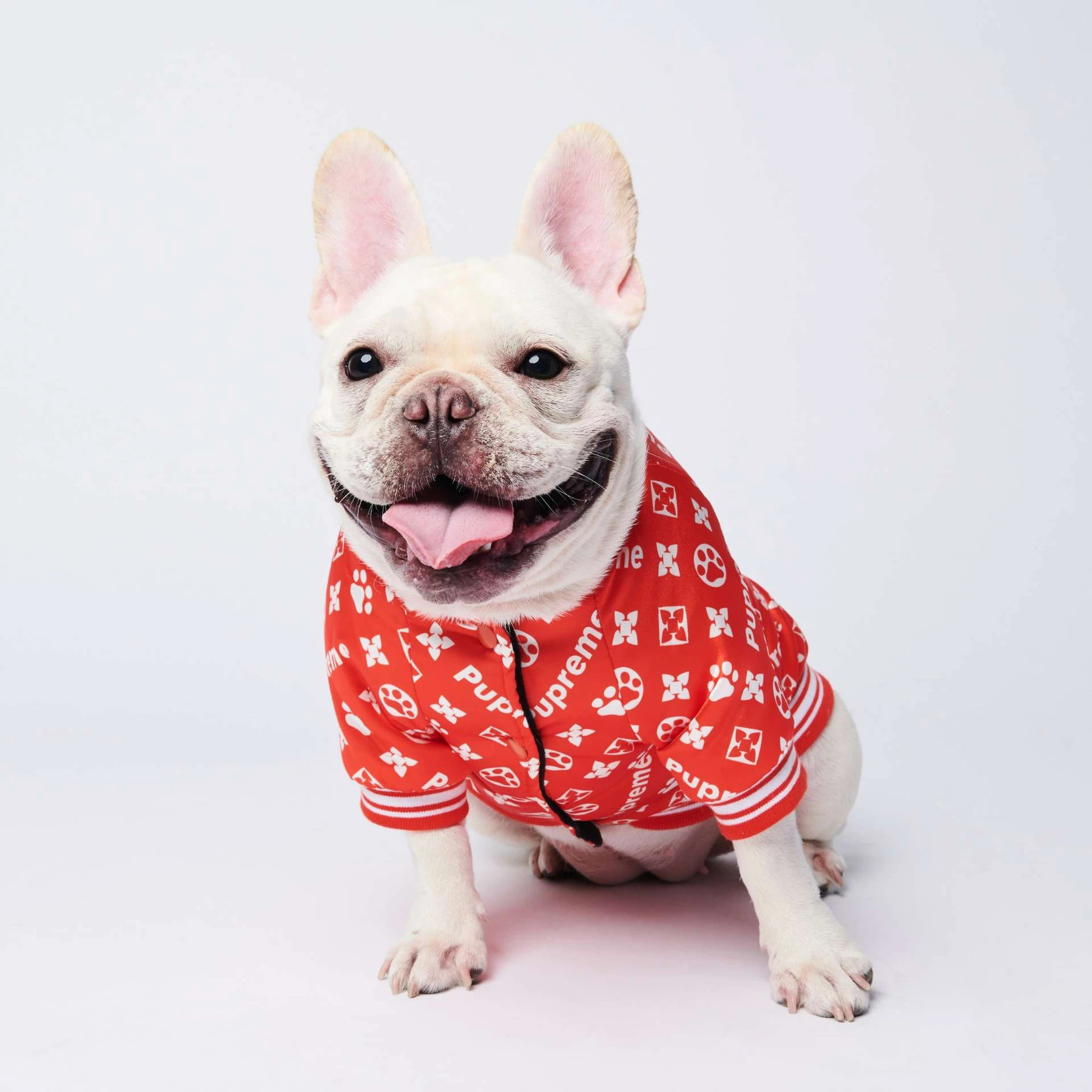 GMTPET New Product Designer Dog Coat Pupreme Dog Jacket Dog Clothes French Bulldog Fashion Winter Red Pet Apparel & Accessories