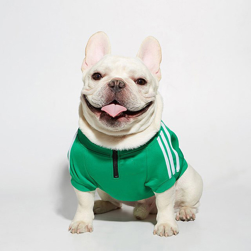 Pet Accessories New Sport Dog Coats Pet Clothing Small Dog Clothes Pet Factory OEM Wholesale Leisure Fashion Print 1pc/opp Bag