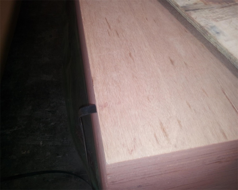 Natural wood rotary cut keruing pq wood face veneer from SHANDONG GOOD WOOD JIA MU JIA