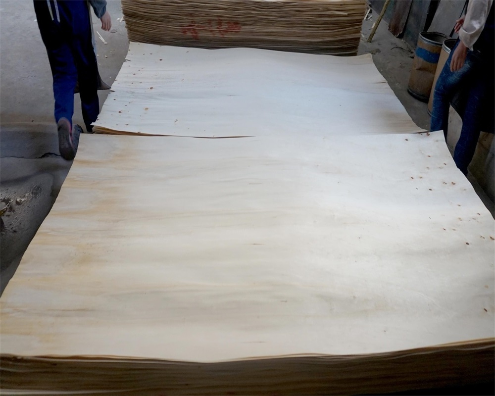 Natural wood rotary cut keruing pq wood face veneer from SHANDONG GOOD WOOD JIA MU JIA