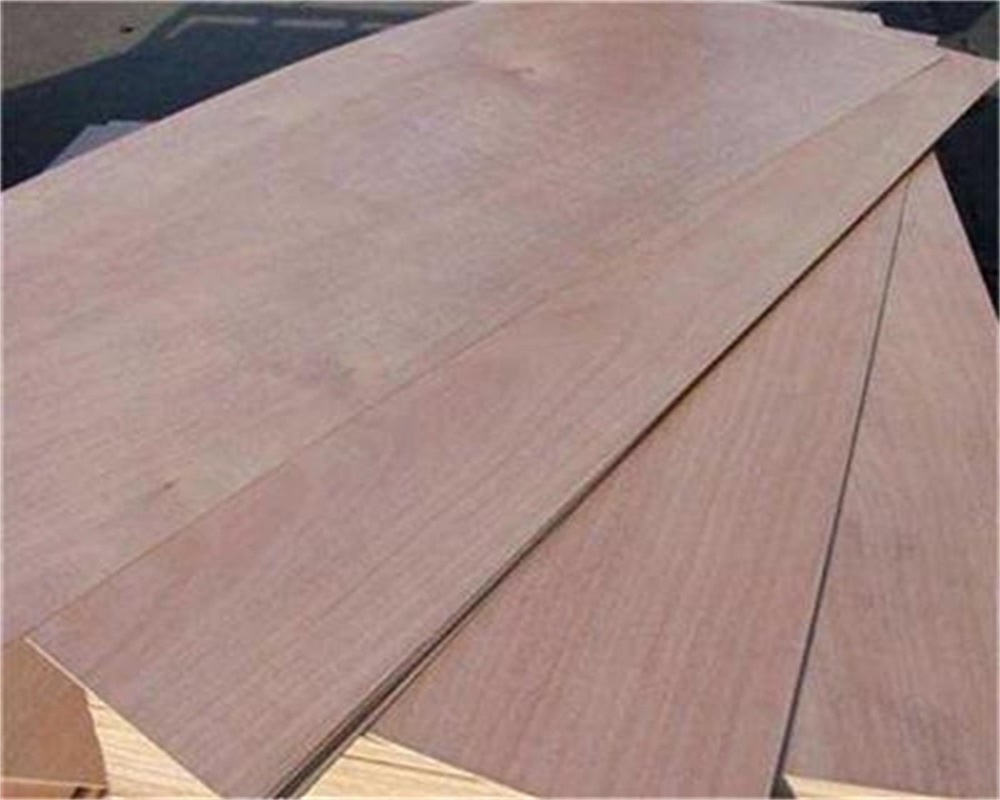 Jiamujia Price List Ceiling Pvc Board Woodwork Formwork 12mm 15mm 19mm 4x12 Shuttering Maple Plywood Sheets