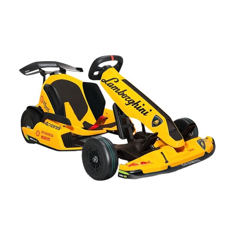 High Power 4800W Max Speed 40km/h Nine bot Electric Karting Race Go Kart PRO with Gokart pro