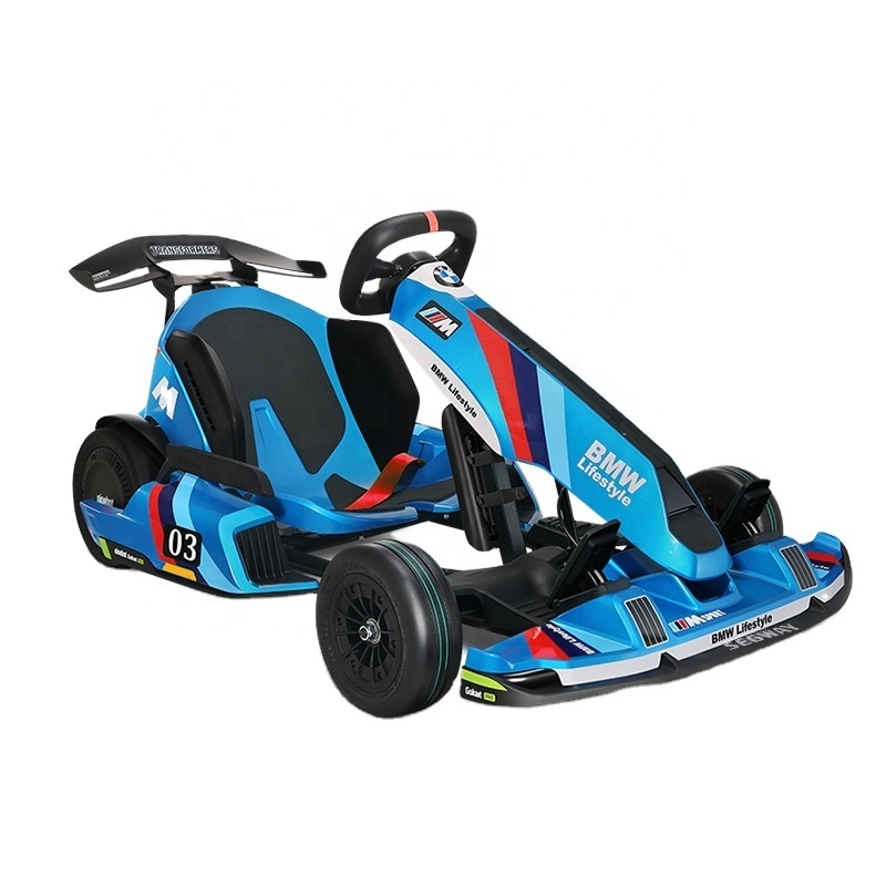 High Power 4800W Max Speed 40km/h Nine bot Electric Karting Race Go Kart PRO with Gokart pro