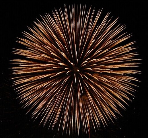 Customized Import Fireworks from China 6 Inch Fireworks Shells