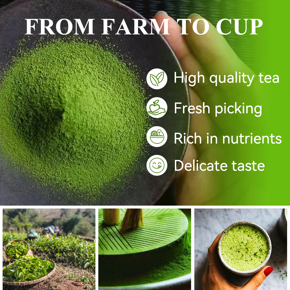 Factory Private Label Superior Matcha Tea Powder Instant Organic Supplier ceremonial grade japan Pure Green Tea