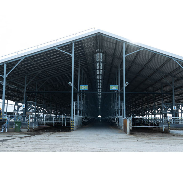 Fast build prefabricated structure steel building horse barns design