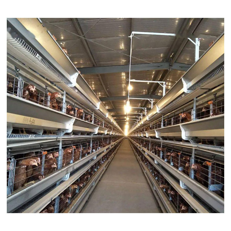 Factory Direct Sale Prefabricated Poultry House Building Steel Structure Sheep Barn Farming Livestock Shed