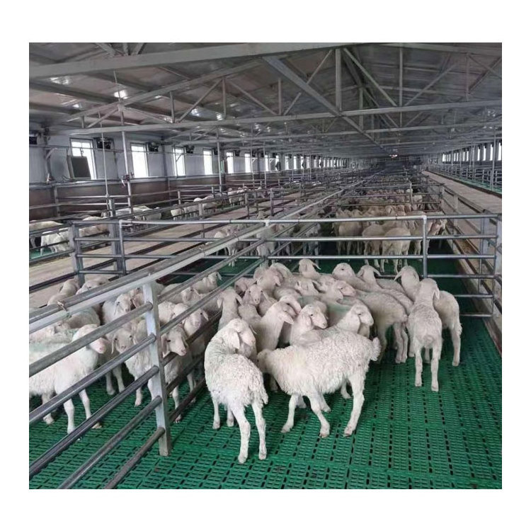 Factory Direct Sale Prefabricated Poultry House Building Steel Structure Sheep Barn Farming Livestock Shed