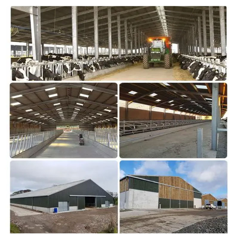 Prefab steel structure dairy cow shed sheep barn farm prefabricated steel structure farm