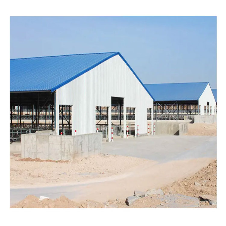 Modern Design Steel Structure Cow Cattle Dairy Milking Farm Goat Farming House Shed Building