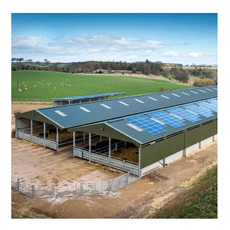 Factory Direct Sale Prefabricated Poultry House Building Steel Structure Sheep Barn Farming Livestock Shed