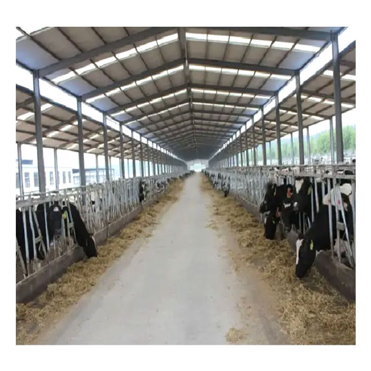 Factory Direct Sale Prefabricated Poultry House Building Steel Structure Sheep Barn Farming Livestock Shed