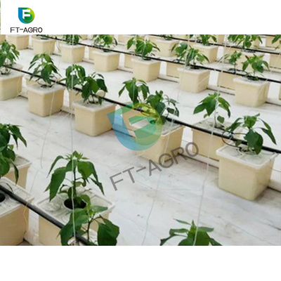 Agricultural Use Dutch Bucket Tomato Planting Hydroponic Growing System