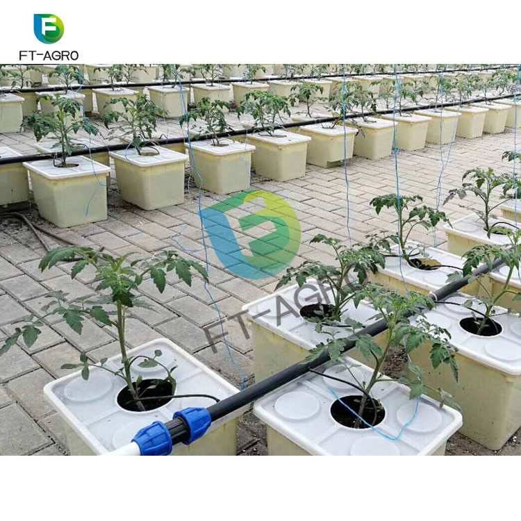 Dutch Bucket in agriculture greenhouse for vegetables