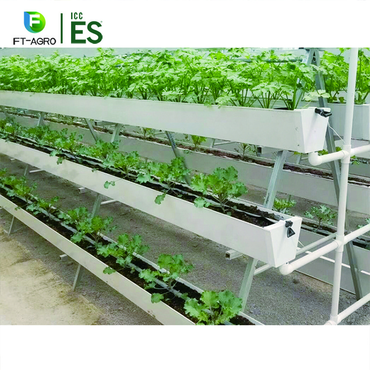 Commercial Strawberry Planting Gutter Hydroponic Growing System