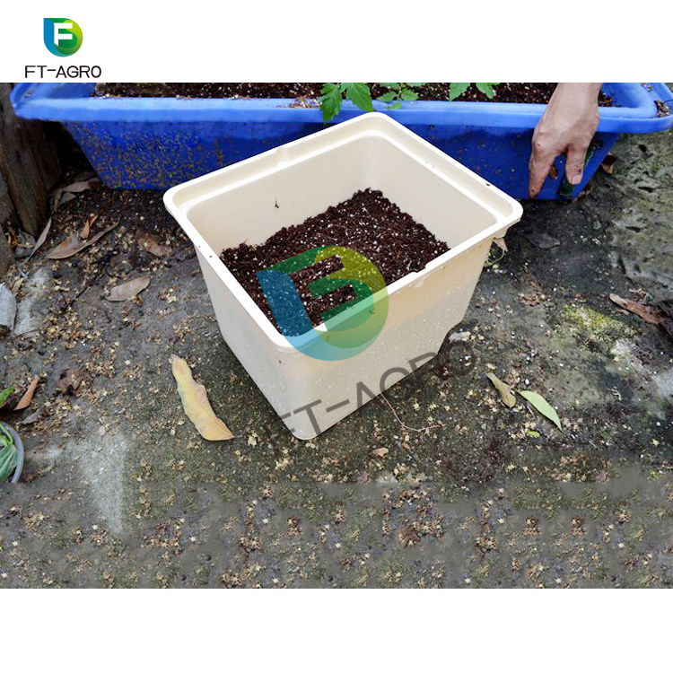 Dutch Bucket in agriculture greenhouse for vegetables