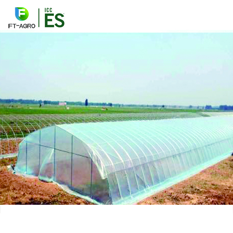 Low cost used commercial single-span PO flim greenhouse framing for sale