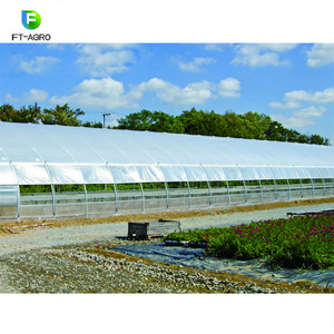 Low cost used commercial single-span PO flim greenhouse framing for sale